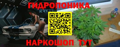 Альфа ПВП Будённовск