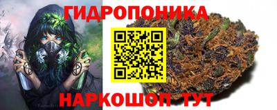 Альфа ПВП Будённовск